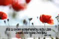 /album/fotogaleria/a1654188-231563110360329-872532751-n-jpg/